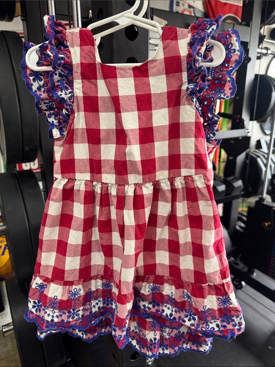 Gymboree Other - Gymboree Red & White Gingham Toddler Dress with Blue Embroidered Ruffle